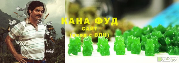 spice Дмитриев