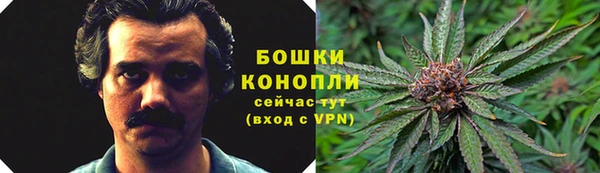 spice Дмитриев