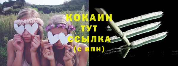 дурь Дмитровск