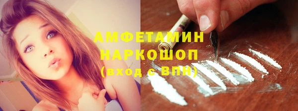 spice Дмитриев