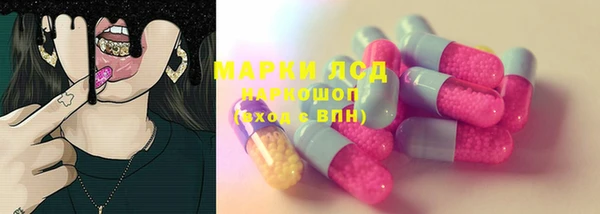 spice Дмитриев