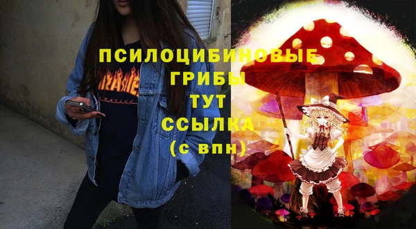 spice Дмитриев