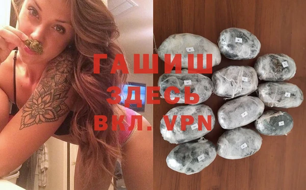 прущие грибы Елабуга