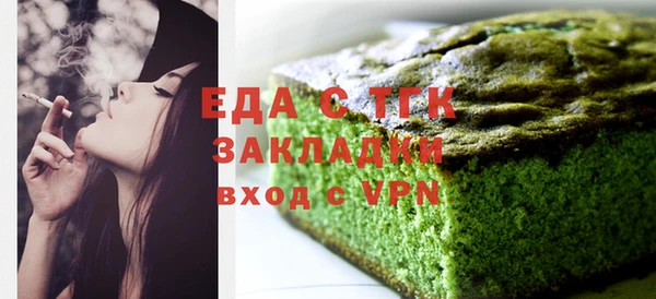 spice Дмитриев