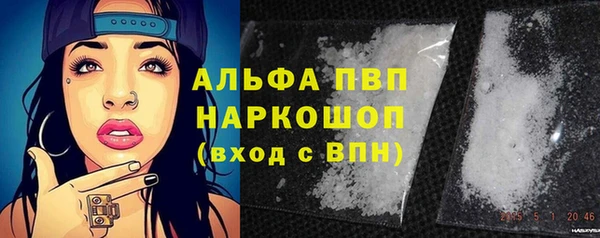 spice Дмитриев