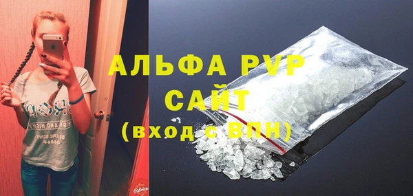 spice Дмитриев