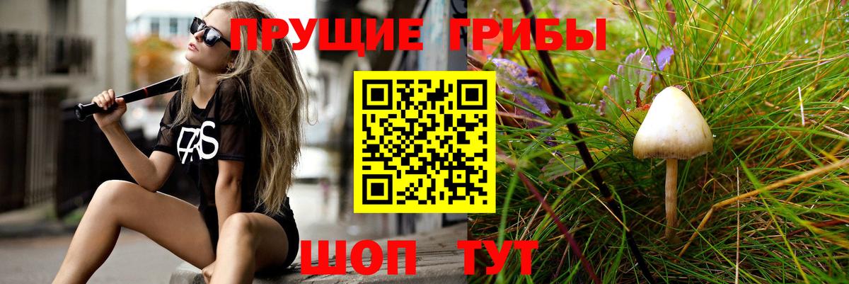 Галлюциногенные грибы мицелий Можайск