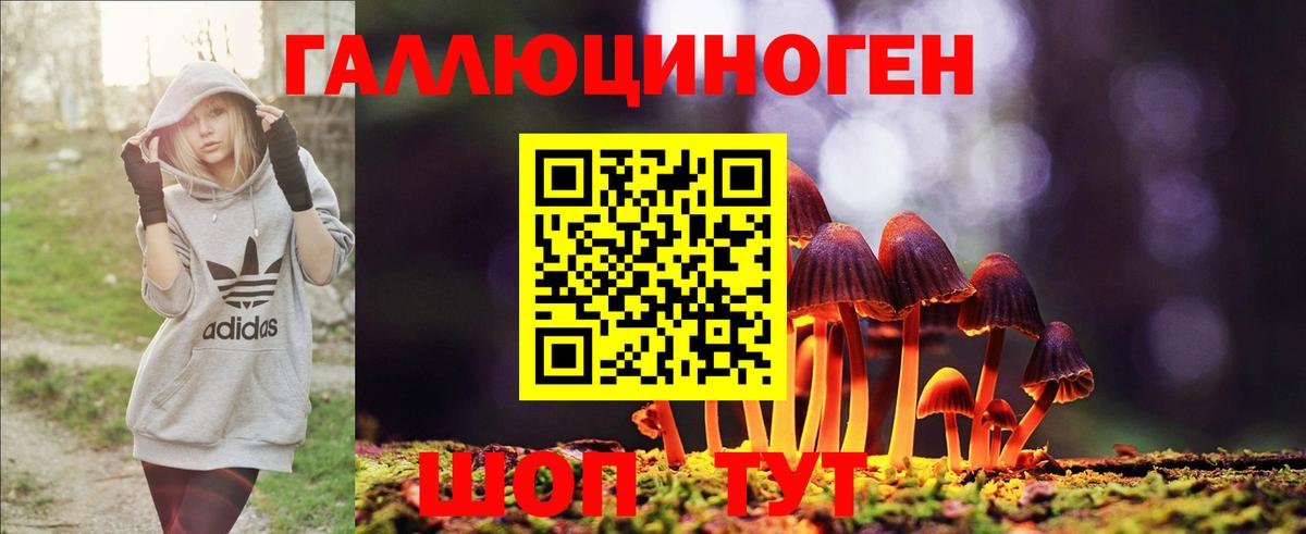 Псилоцибиновые грибы прущие грибы  Можайск 