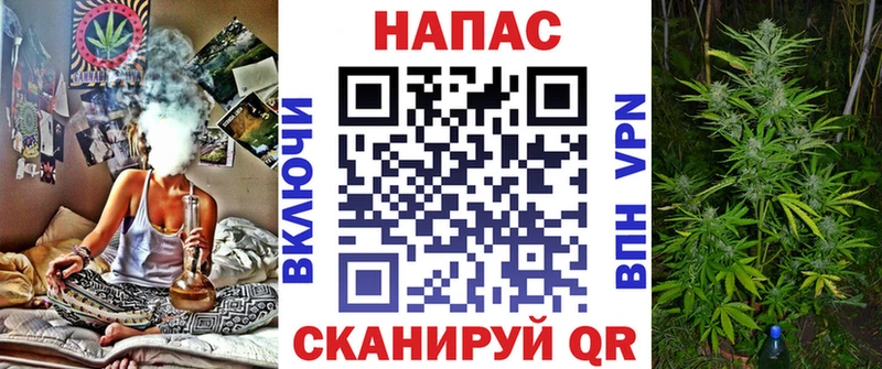 Бошки марихуана THC 21% где продают наркотики Можайск